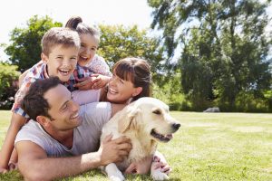Reasons Why Owning A Pet Is Good For Your Health