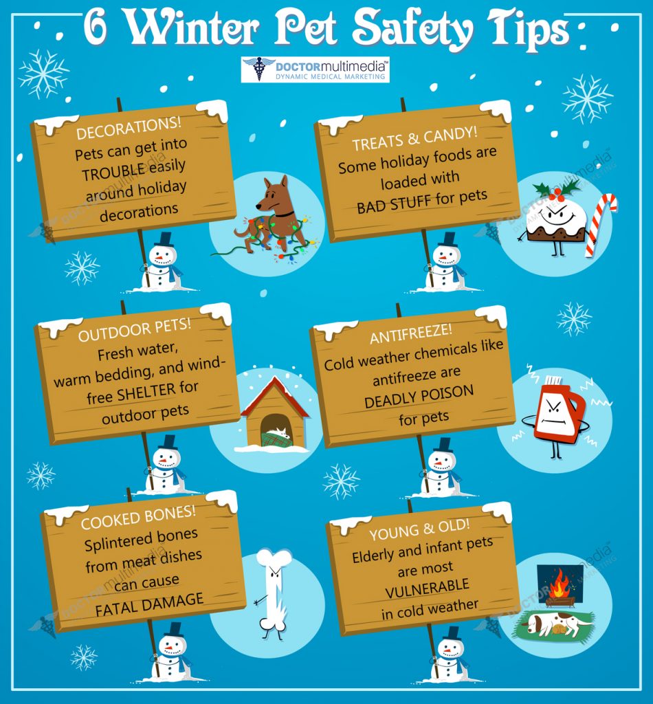 6 Winter Pet Safety Tips